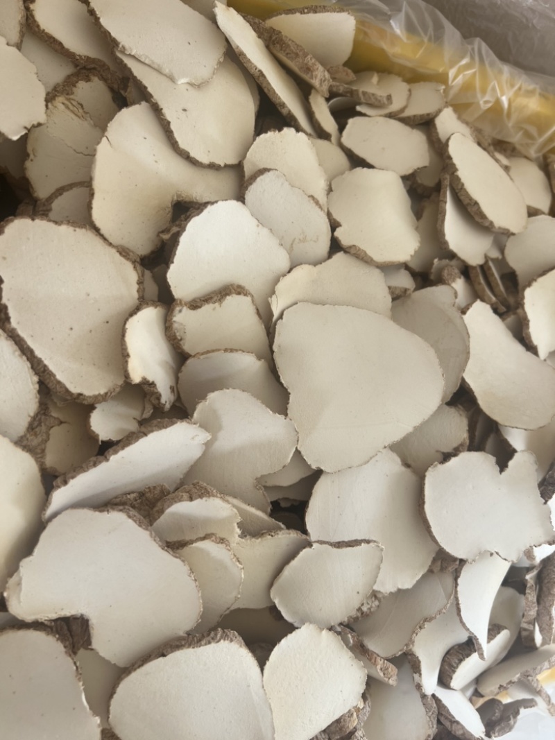 精品中药材虎乳灵芝虎乳菌虎奶菌大量现货