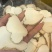 精品中药材虎乳灵芝虎乳菌虎奶菌大量现货
