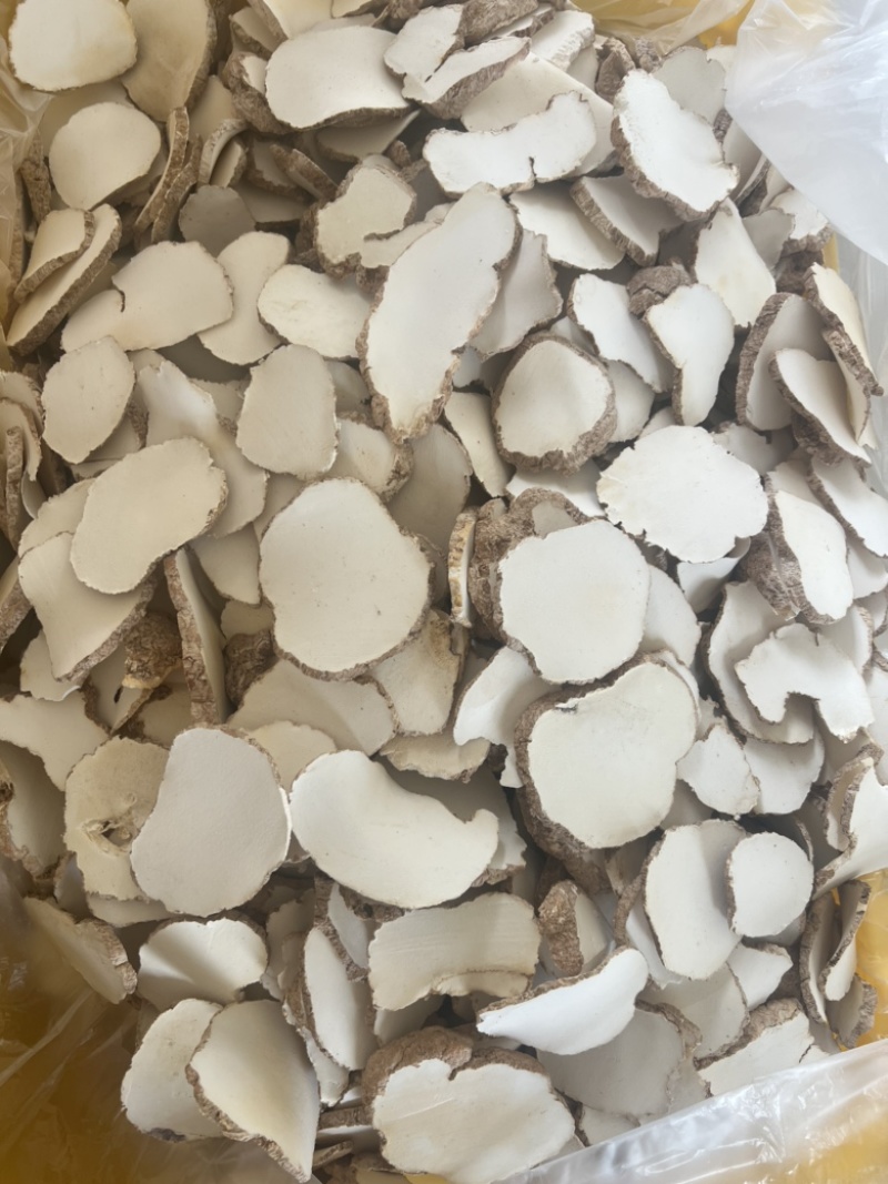 精品中药材虎乳灵芝虎乳菌虎奶菌大量现货