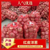 红皮洋葱金乡洋葱代收代发代加工规格齐全可供电商货