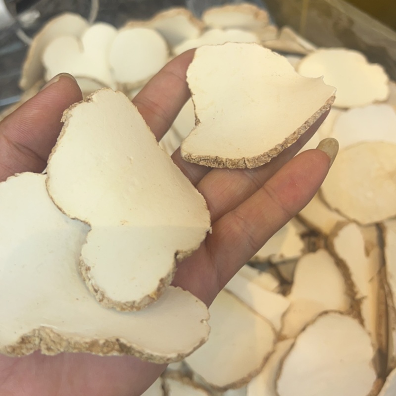 精品中药材虎乳灵芝虎乳菌虎奶菌大量现货