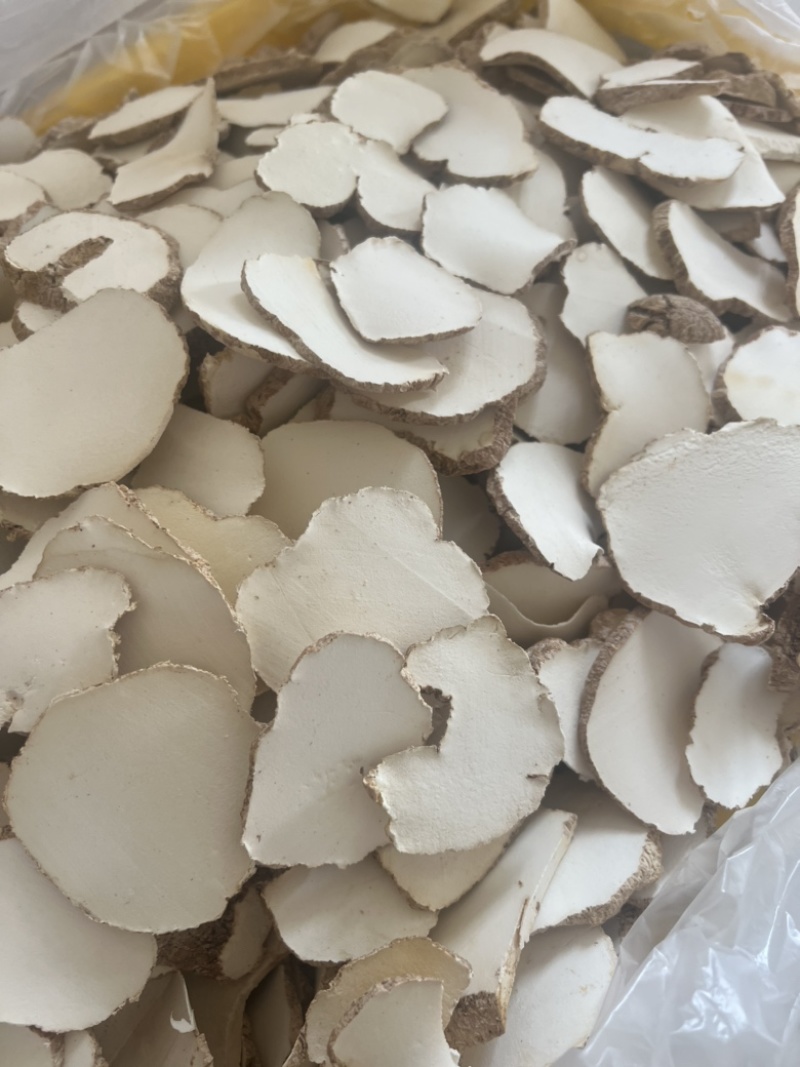 精品中药材虎乳灵芝虎乳菌虎奶菌大量现货
