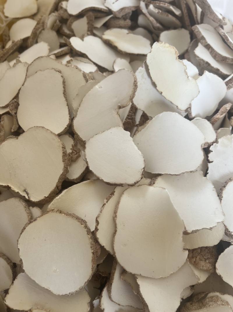 精品中药材虎乳灵芝虎乳菌虎奶菌大量现货