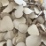 精品中药材虎乳灵芝虎乳菌虎奶菌大量现货