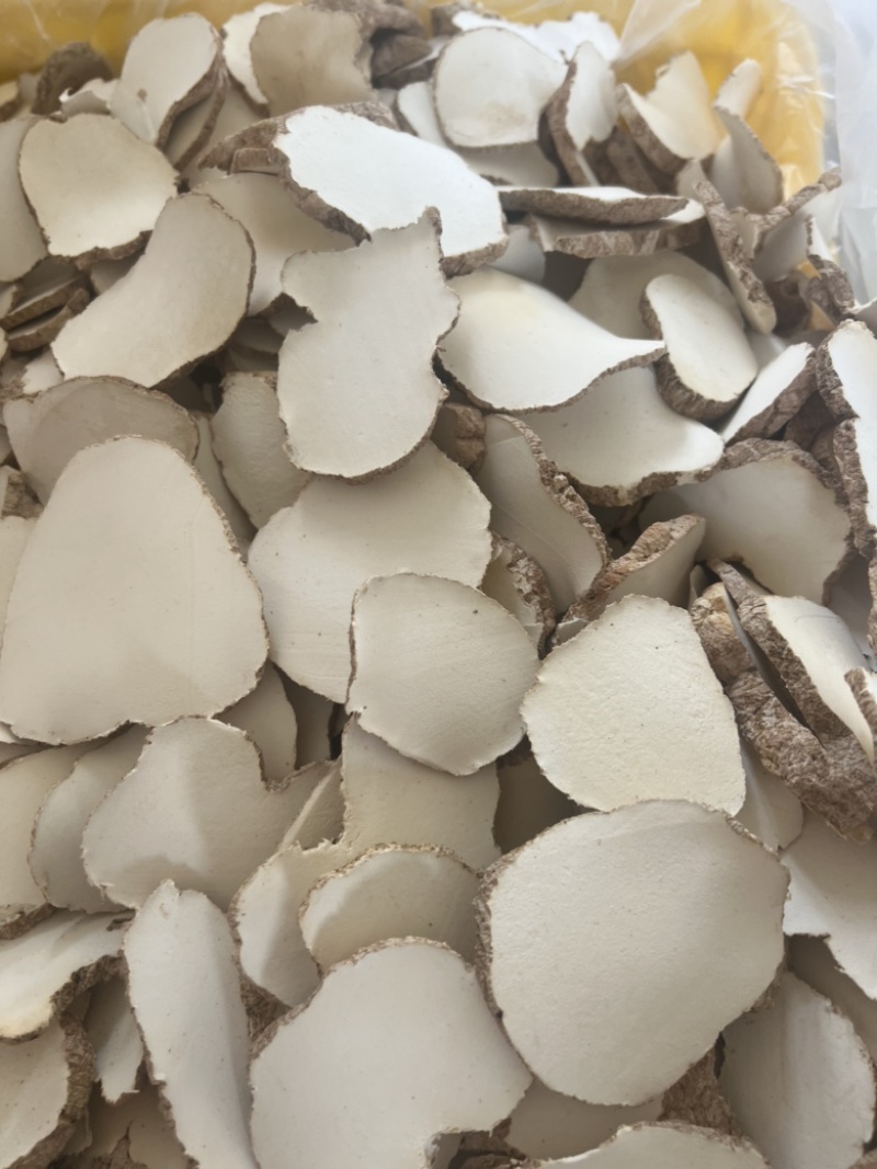 精品中药材虎乳灵芝虎乳菌虎奶菌大量现货