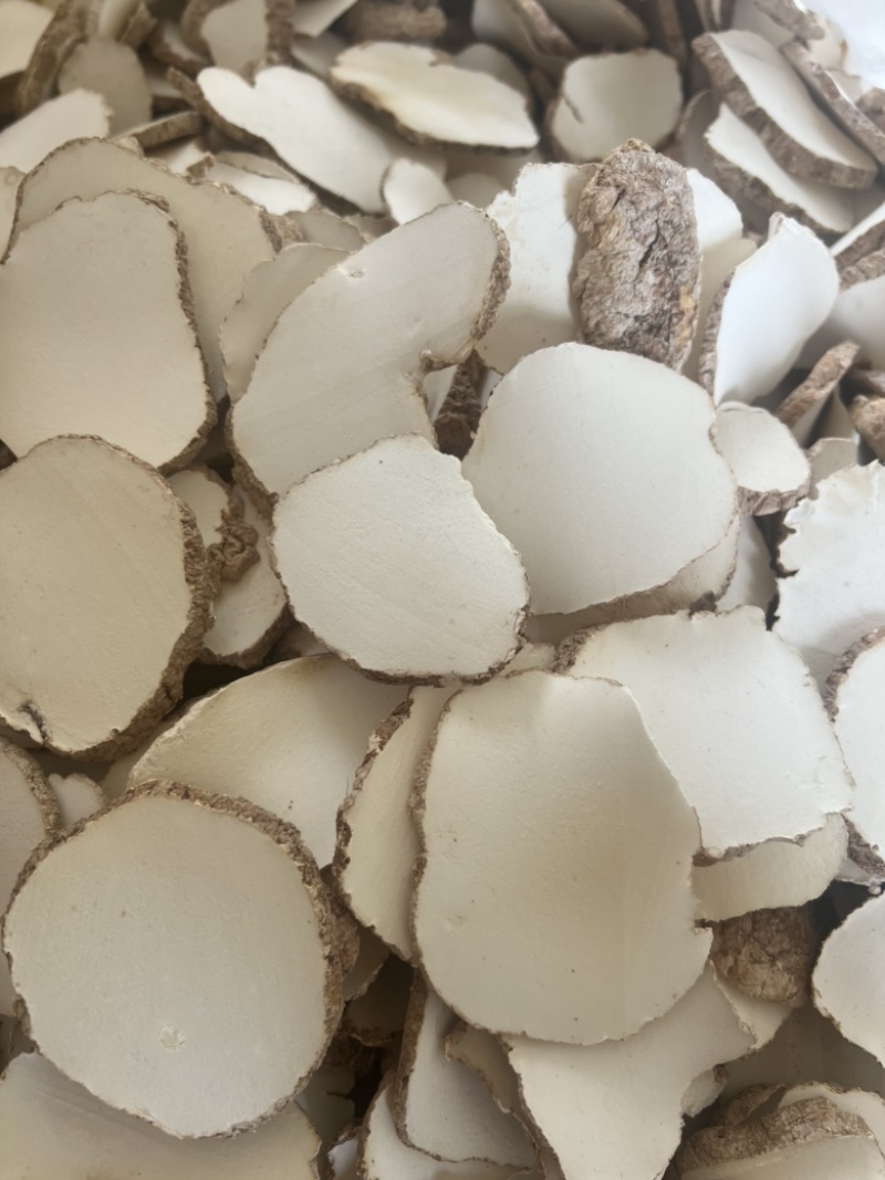 精品中药材虎乳灵芝虎乳菌虎奶菌大量现货