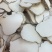 精品中药材虎乳灵芝虎乳菌虎奶菌大量现货