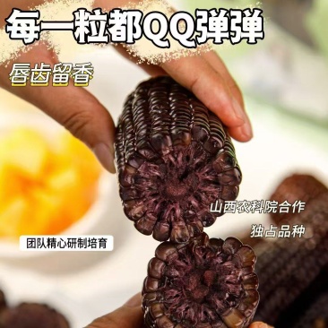 真空独立包装，口感甜糯，半斤以上，价格毛毛钱
