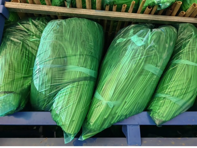 红帽蒜苔大量上市，一手货源，产地直发品质保证对接商超电商