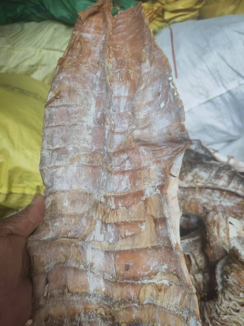 烟笋干大尾大量有货品质有保证可视频看货