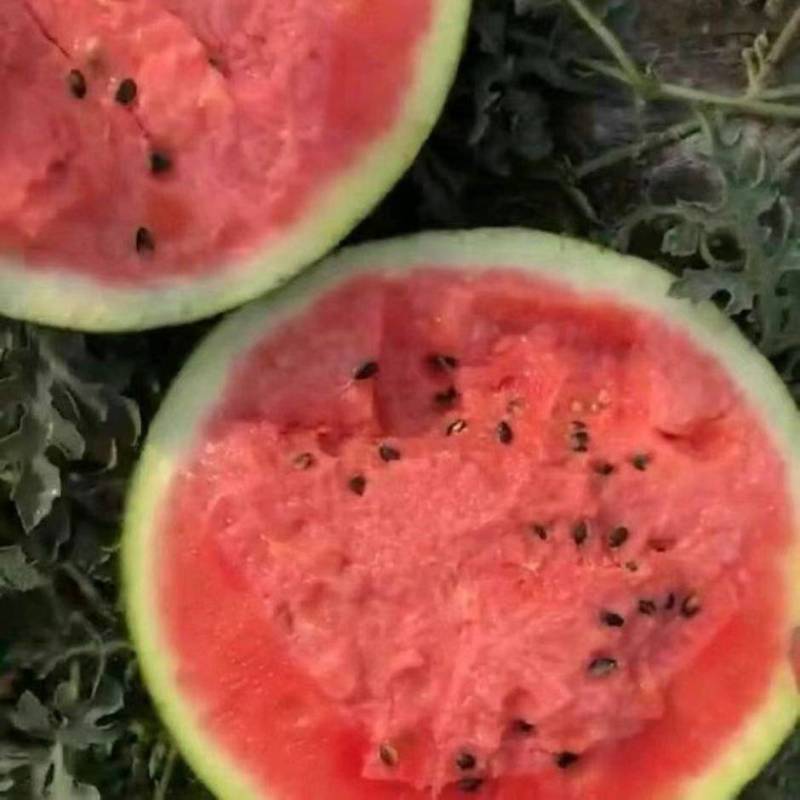 西瓜