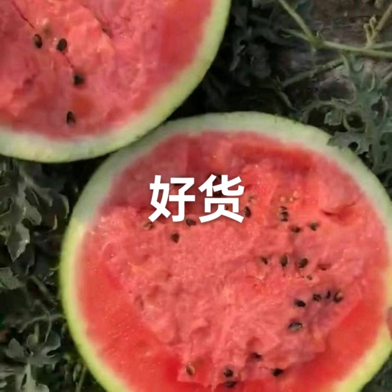 西瓜
