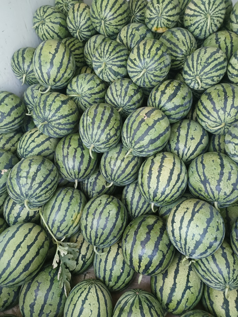西瓜