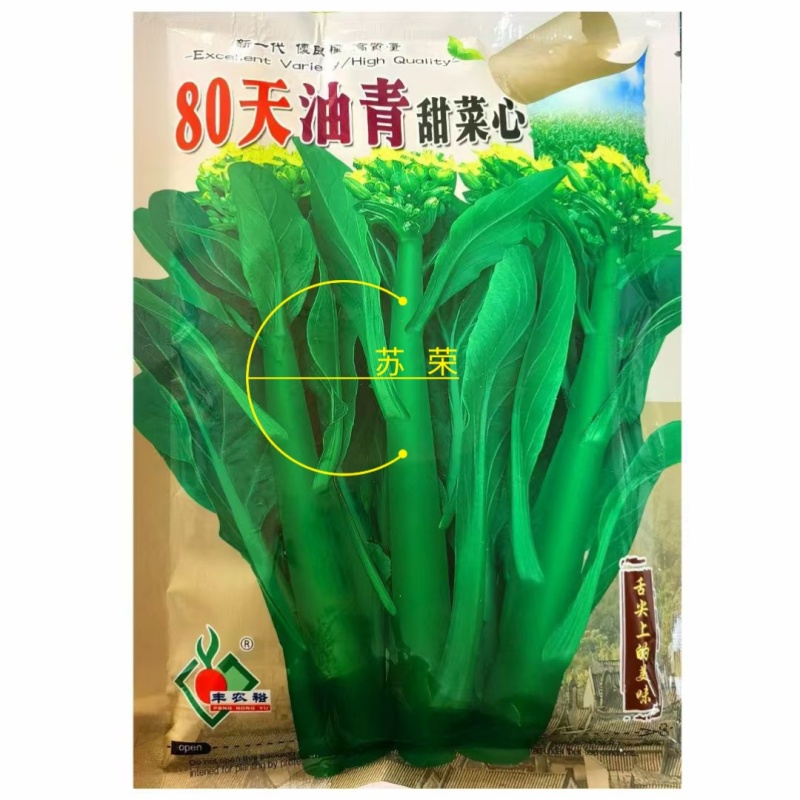 80天油青甜菜心种子抗热耐寒油靓甜菜心菜苔种子高产四季蔬