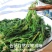 干荠菜25年新货荠菜干支持多规格一件代发