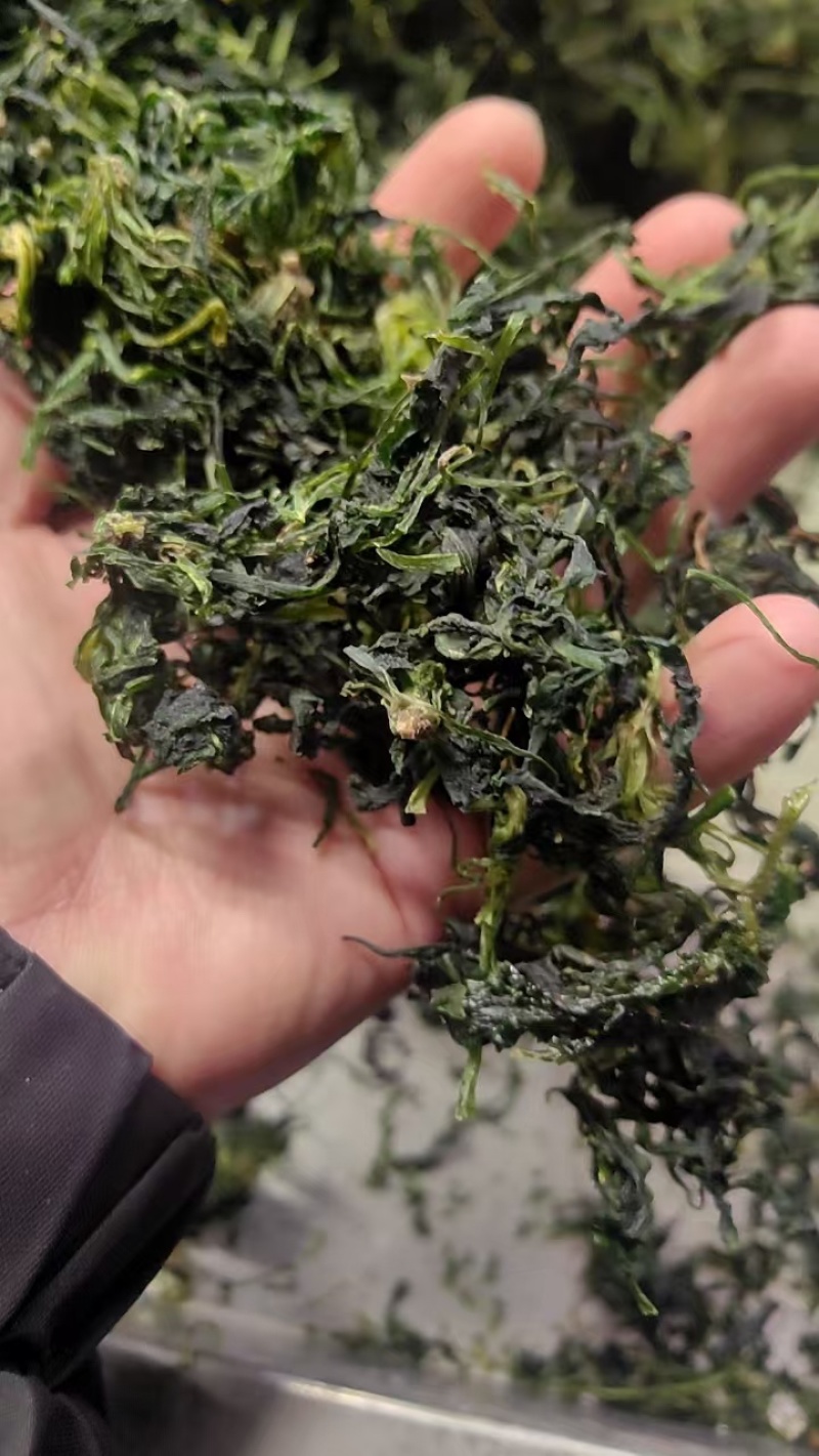 干荠菜25年新货荠菜干支持多规格一件代发