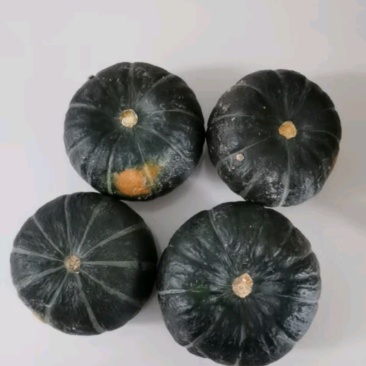 贝贝南瓜(一件代发)
