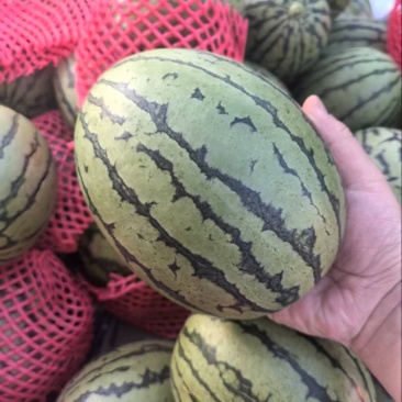 全美2k大量有货甜度刚好品质优可视频看货
