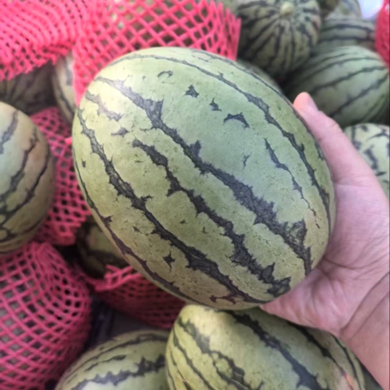 全美2k大量有货甜度刚好品质优可视频看货
