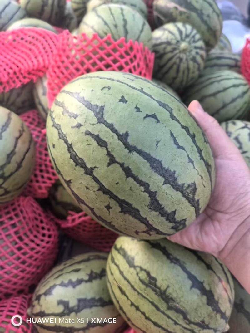 全美2k大量有货甜度刚好品质优可视频看货
