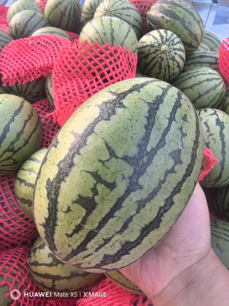全美2k大量有货甜度刚好品质优可视频看货