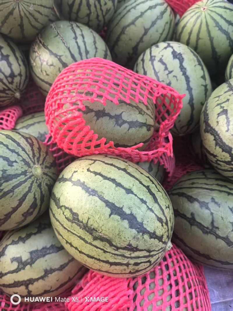 全美2k大量有货甜度刚好品质优可视频看货
