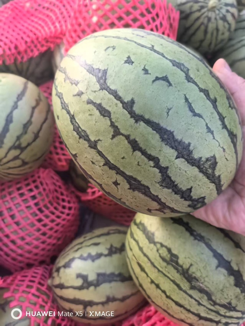 全美2k大量有货甜度刚好品质优可视频看货