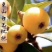 东山白玉枇杷