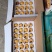 东山白玉枇杷