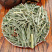 香茅草柠檬香茅草中药材中草药原料批发
