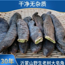 野生皂角大皂角长皂角粉皂荚野生***洗发防脱皂角段片