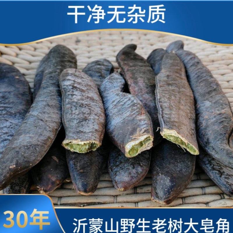 野生皂角大皂角长皂角粉皂荚野生***洗发防脱皂角段片