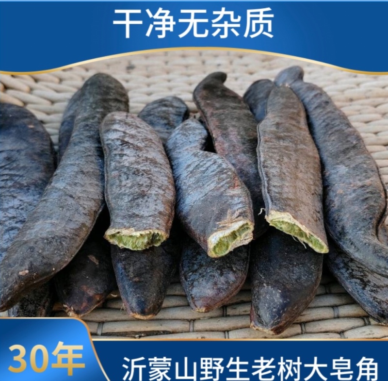 野生皂角大皂角长皂角粉皂荚野生***洗发防脱皂角段片