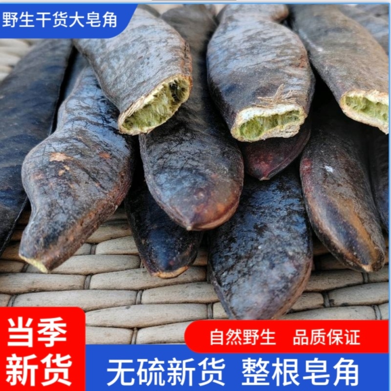 野生皂角大皂角长皂角粉皂荚野生***洗发防脱皂角段片