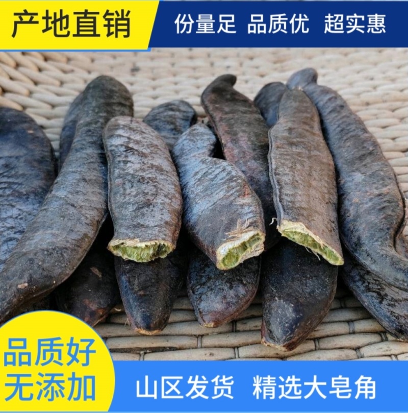 野生皂角大皂角长皂角粉皂荚野生***洗发防脱皂角段片