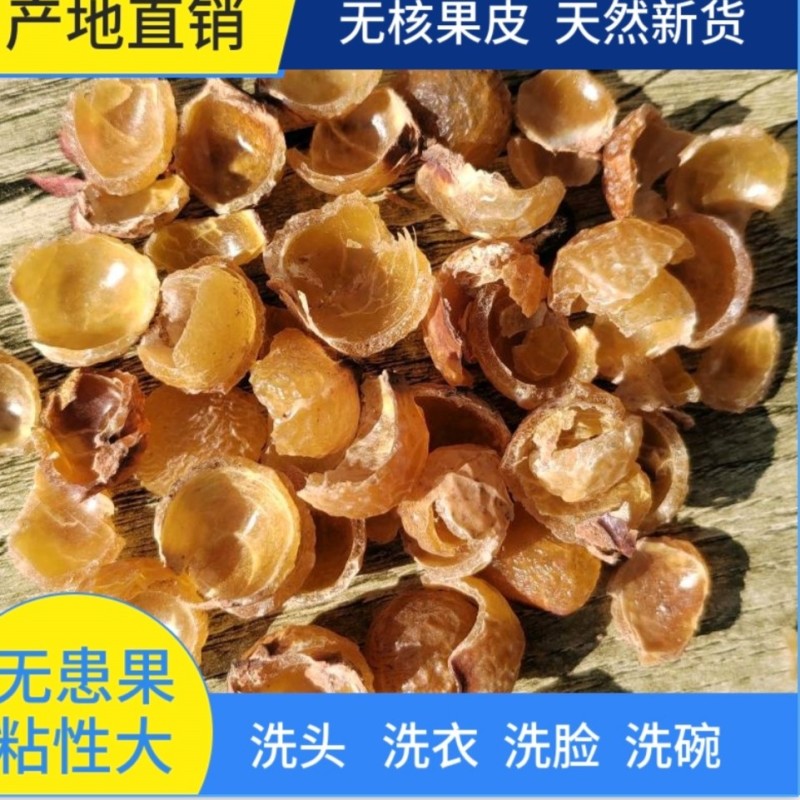 野生无患子当季新货可做手工皂无患子可做手串洗发水