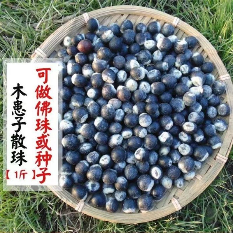 野生无患子当季新货可做手工皂无患子可做手串洗发水