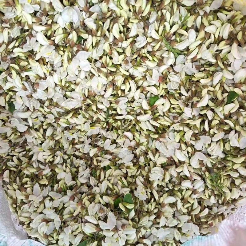 精品深山槐花