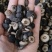 枳实枳实正品江西鹅眼枳实产地江西紫轩堂药业