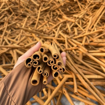 质量保证越南桂皮