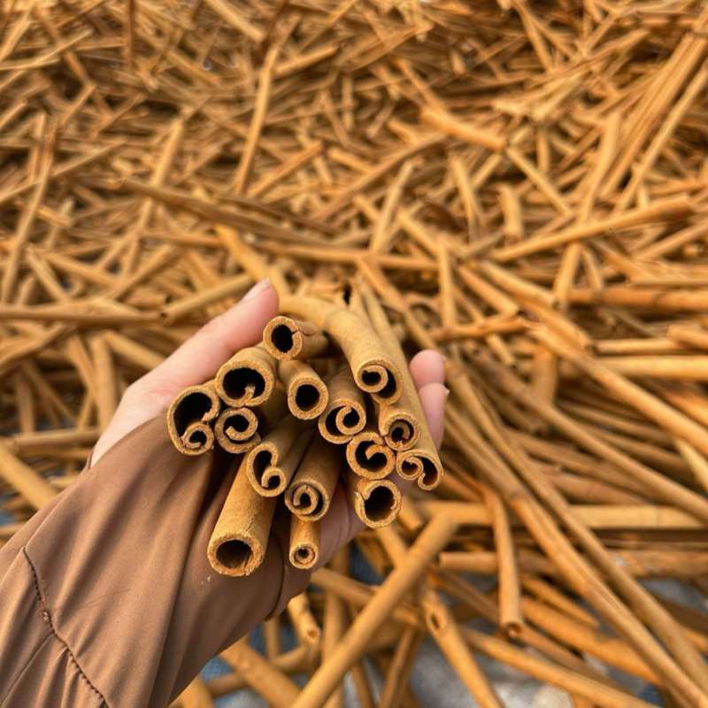 质量保证越南桂皮