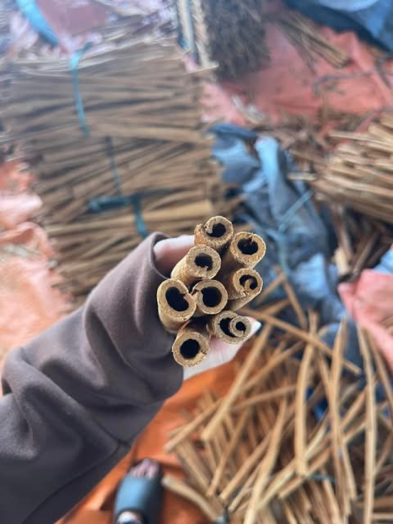 质量保证越南桂皮