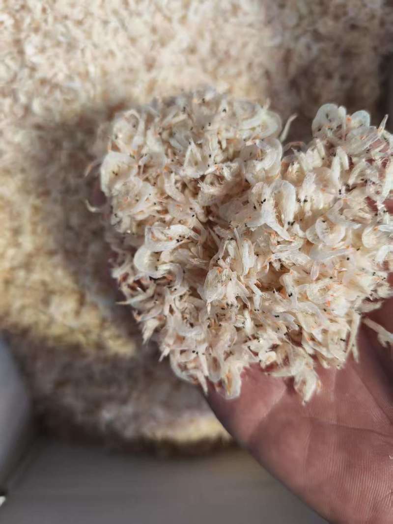 山东精品虾皮大量供应，品质保证，量大从优，可对接电商商超