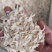 山东精品虾皮大量供应，品质保证，量大从优，可对接电商商超