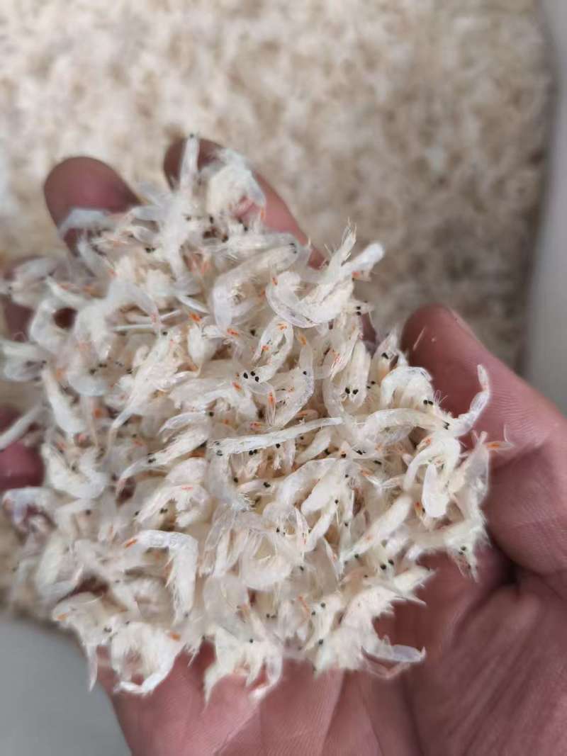山东精品虾皮大量供应，品质保证，量大从优，可对接电商商超