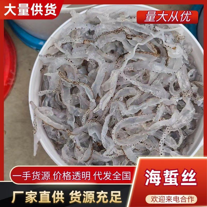 【海蜇丝】基地直发，全国供货，诚信经营，可视频看货