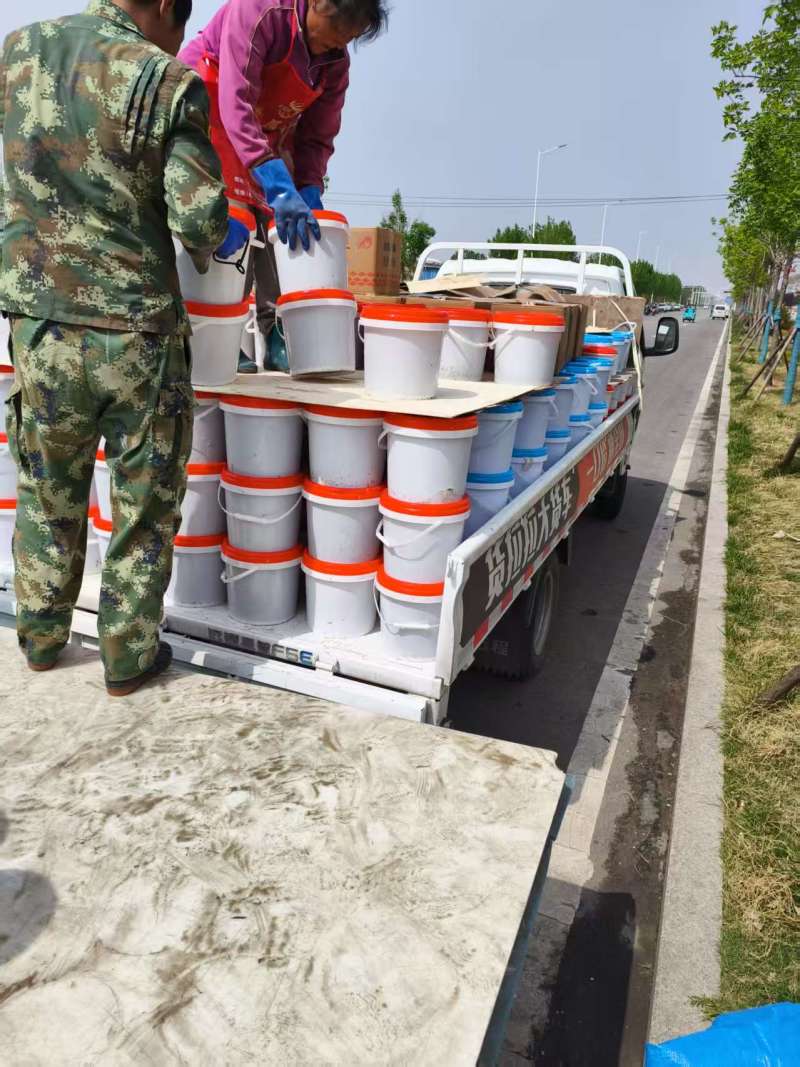 【海蜇丝】基地直发，全国供货，诚信经营，可视频看货