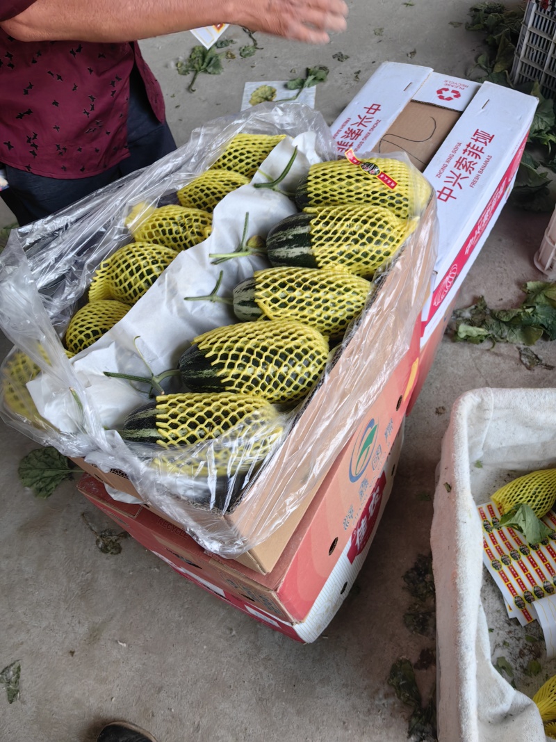 (实力商家）博洋九号，货源充足，包装齐全保质保量对接全国