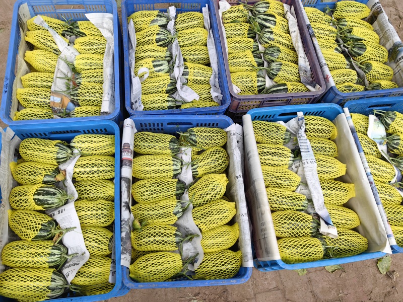 (实力商家）博洋九号，货源充足，包装齐全保质保量对接全国