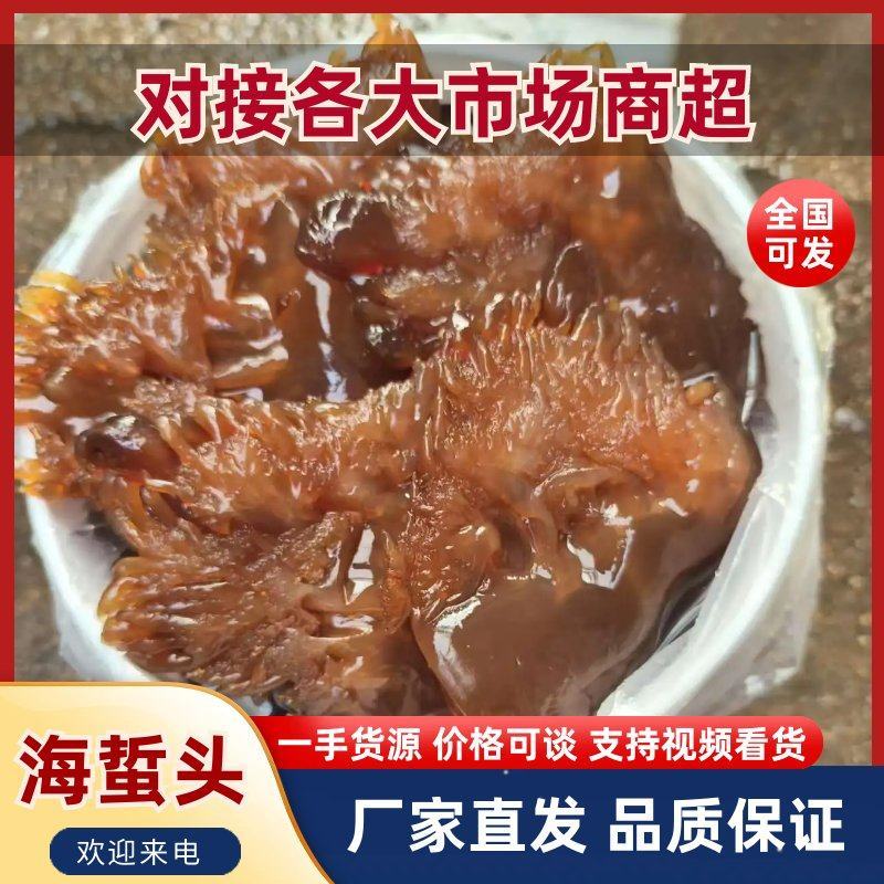 【海蜇头】厂家直发，品质保证，规格齐全可对接各大市场商超